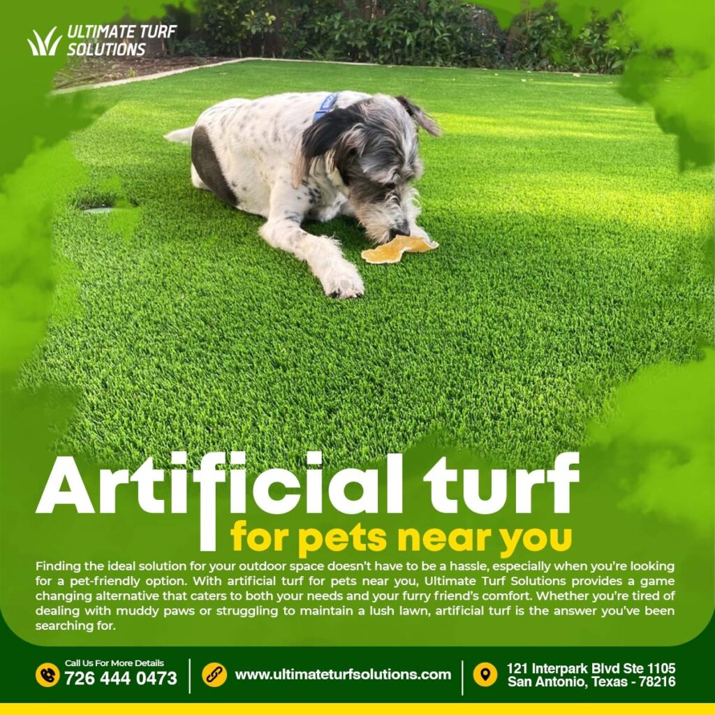 Perfect Playgrounds: Artificial Turf for Pets Near You